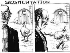 segmentation