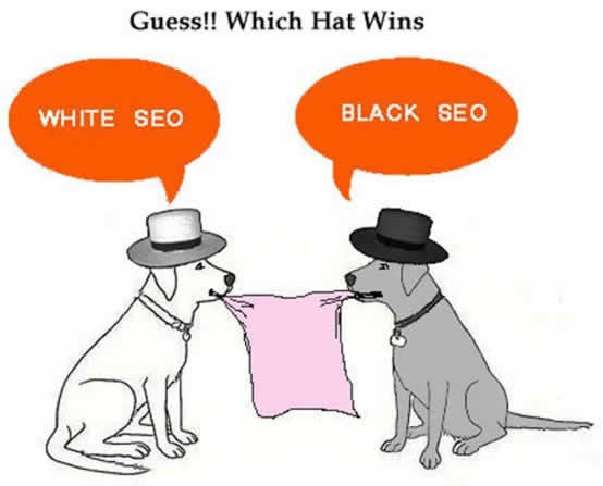 白帽与黑帽SEO之争