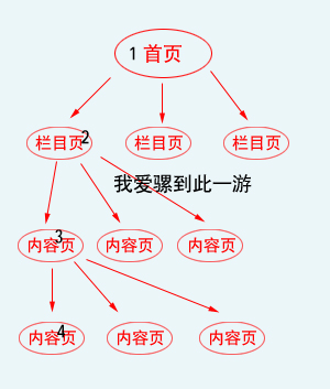 蜘蛛抓取页面示意图